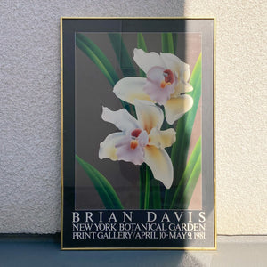 brian davis 'cymbidium v' framed print