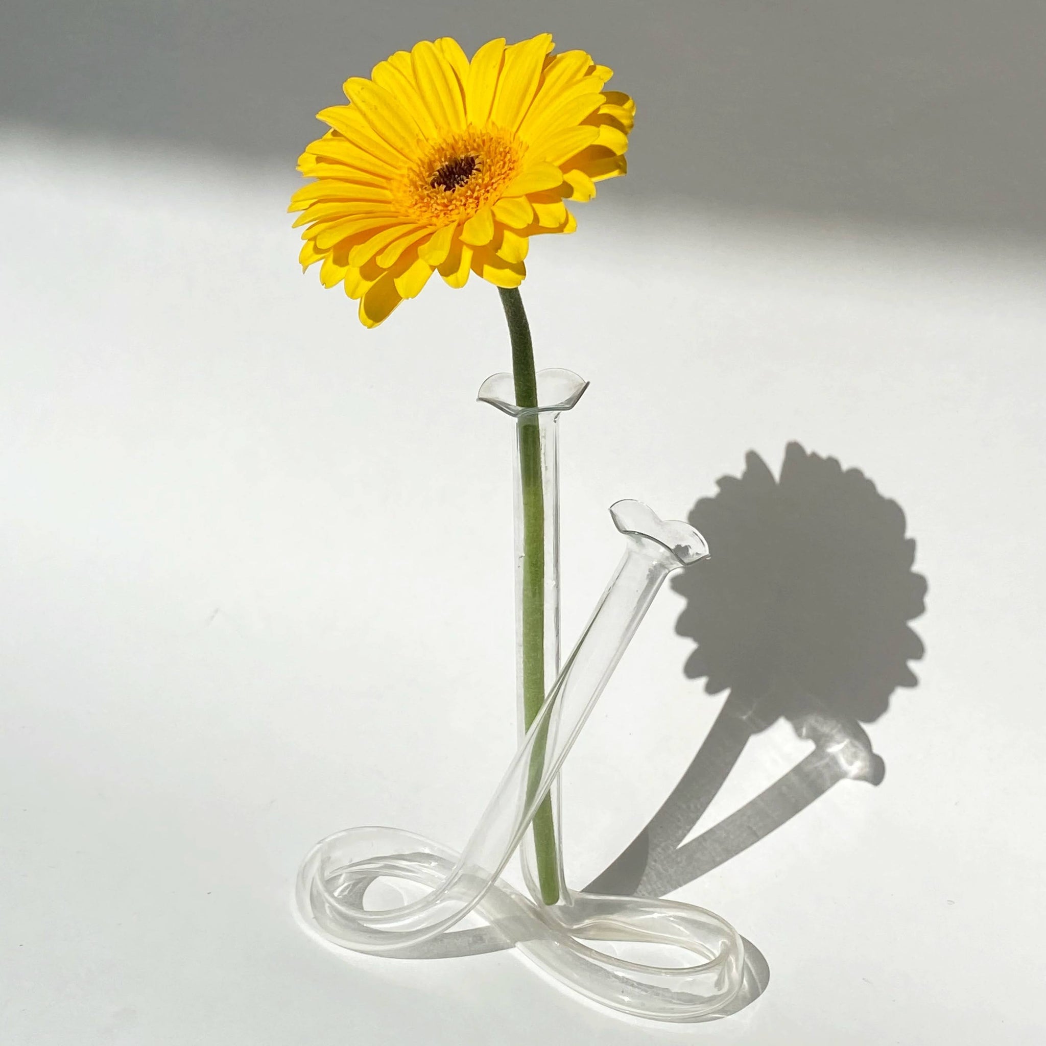 glass double stem infinity loop bud vase